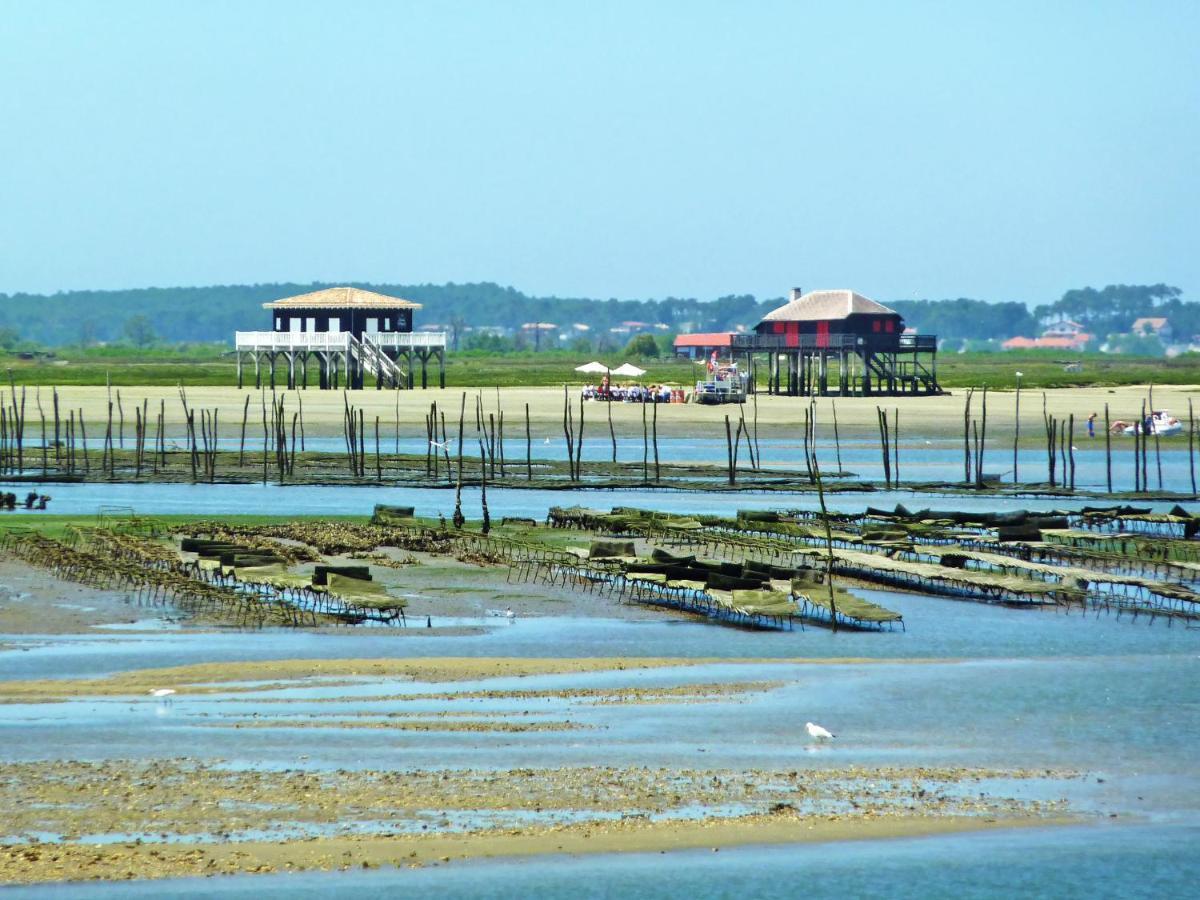 Claire-4 By Interhome Arcachon